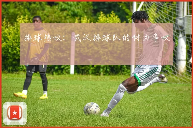 排球热议：武汉排球队的耐力争议