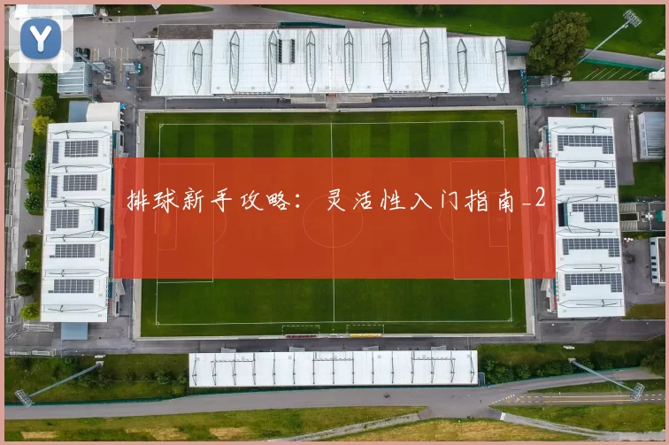 排球新手攻略：灵活性入门指南_2