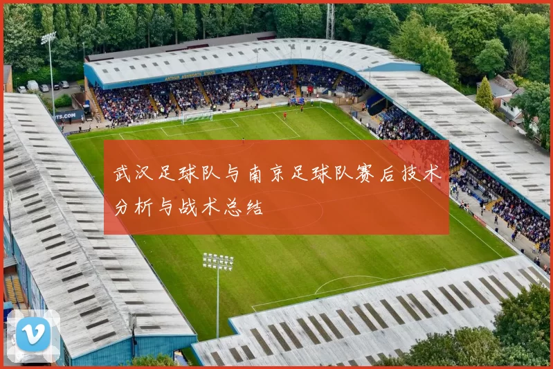 武汉足球队与南京足球队赛后技术分析与战术总结