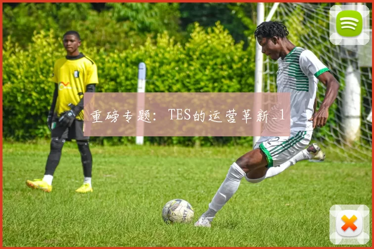 重磅专题：TES的运营革新_1
