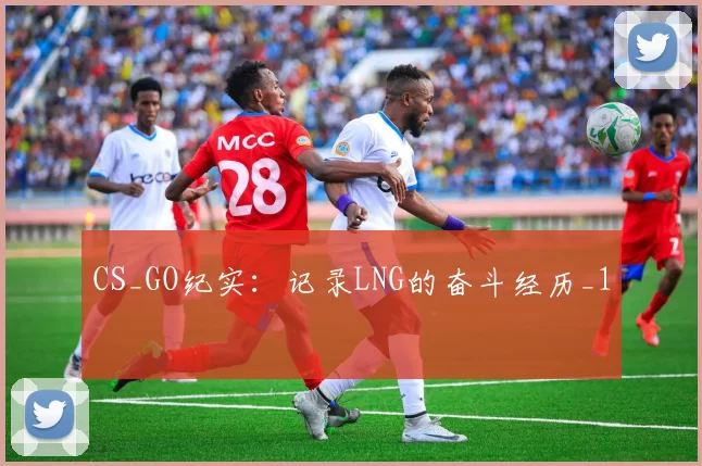 CS_GO纪实：记录LNG的奋斗经历_1