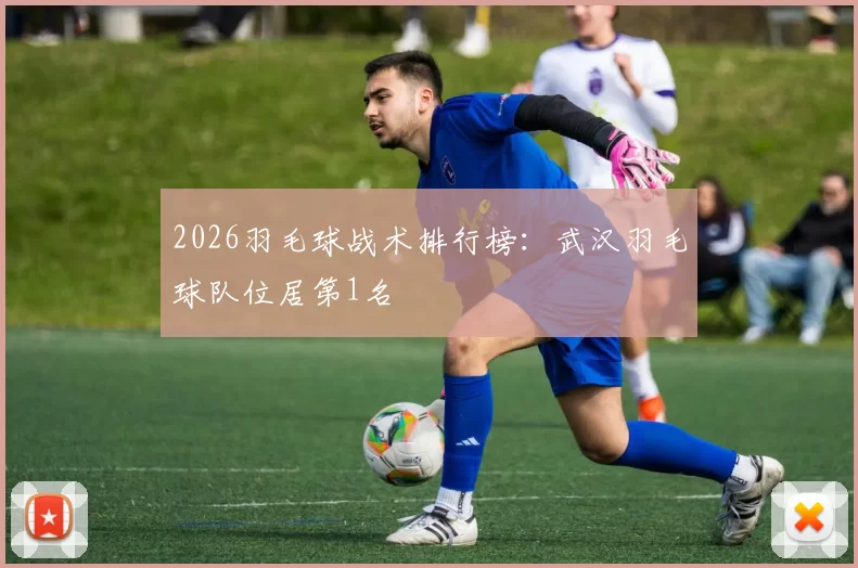 2026羽毛球战术排行榜：武汉羽毛球队位居第1名